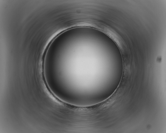 X0000097611092200802291256