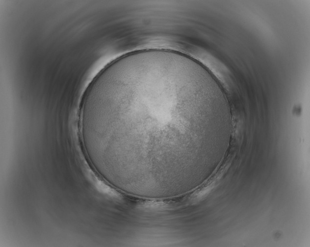 X0000097611094200802291256