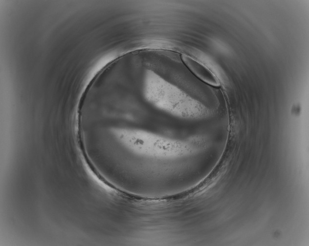 X0000097611095200802291256