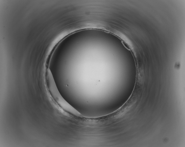 X0000097611096200802291256