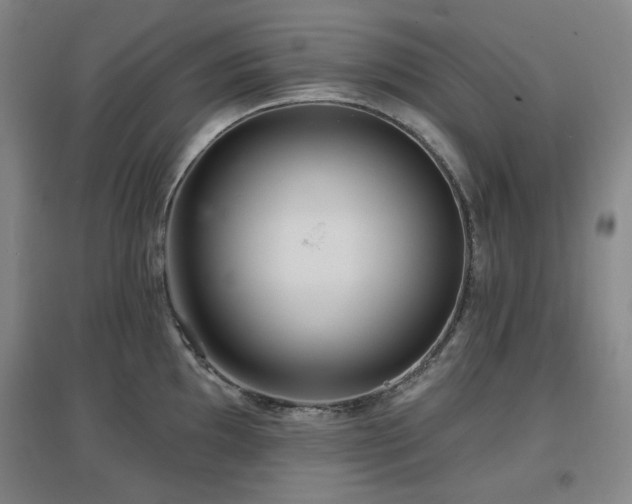 X0000097611097200802291256