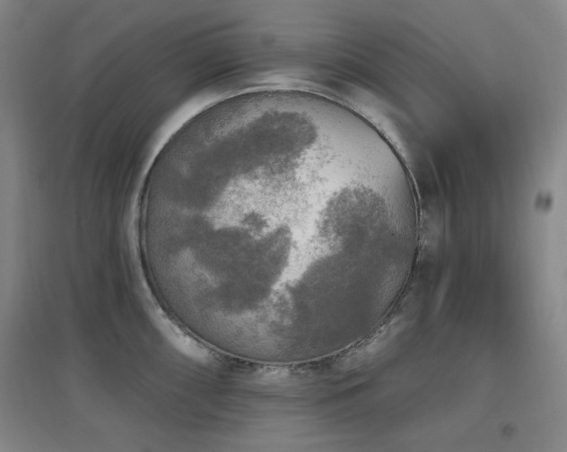 X0000097611098200802291256
