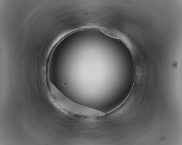 X0000097611100200802291256