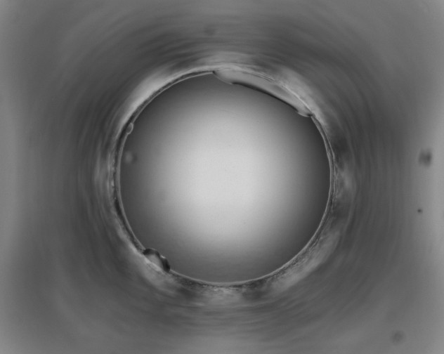 X0000097611101200802291256