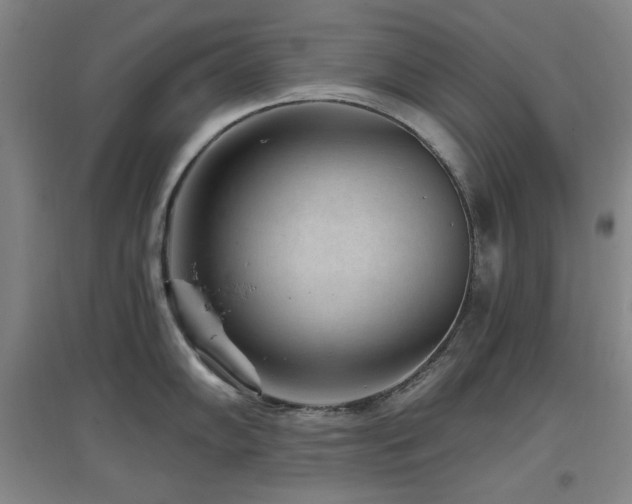 X0000097611102200802291256