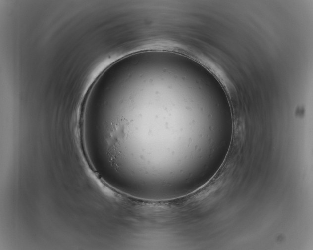 X0000097611103200802291256
