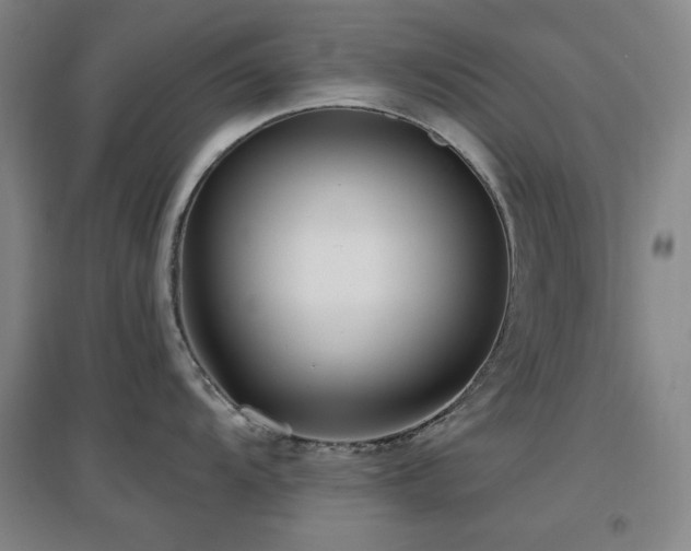 X0000097611104200802291256