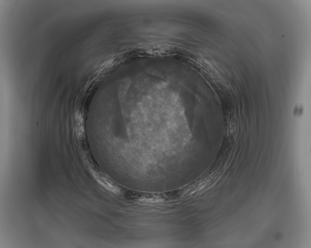 X0000097611106200802291255
