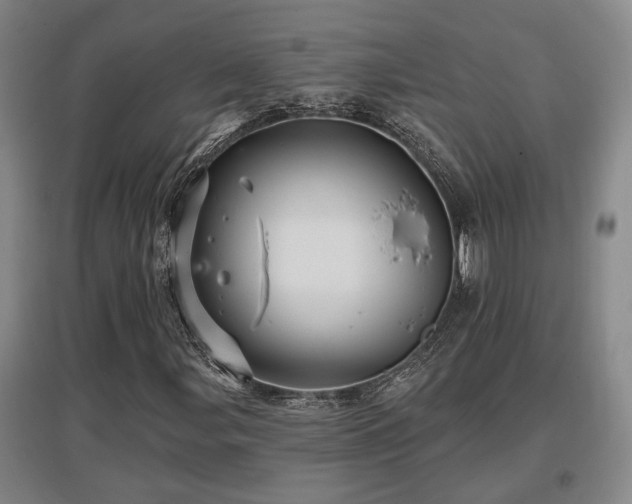 X0000097611107200802291255