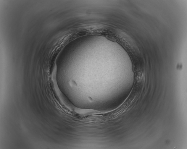 X0000097611108200802291255