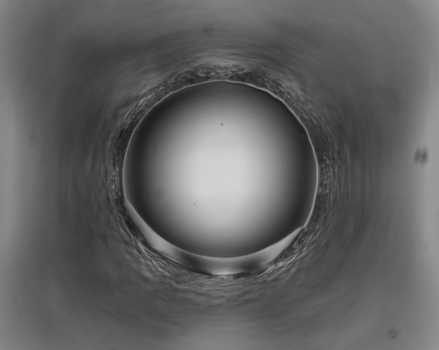 X0000097611109200802291255
