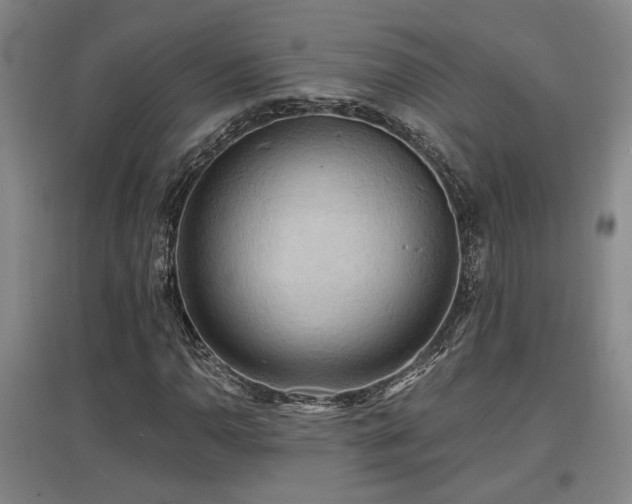X0000097611110200802291255