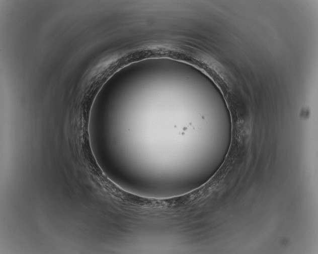 X0000097611111200802291255