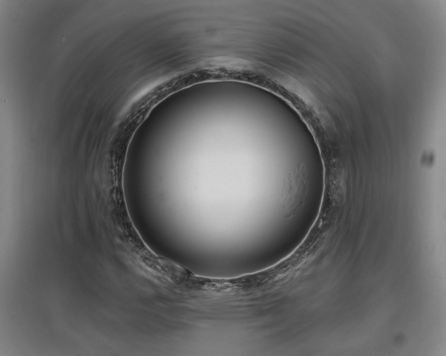 X0000097611112200802291255