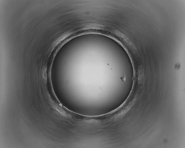 X0000097611113200802291255