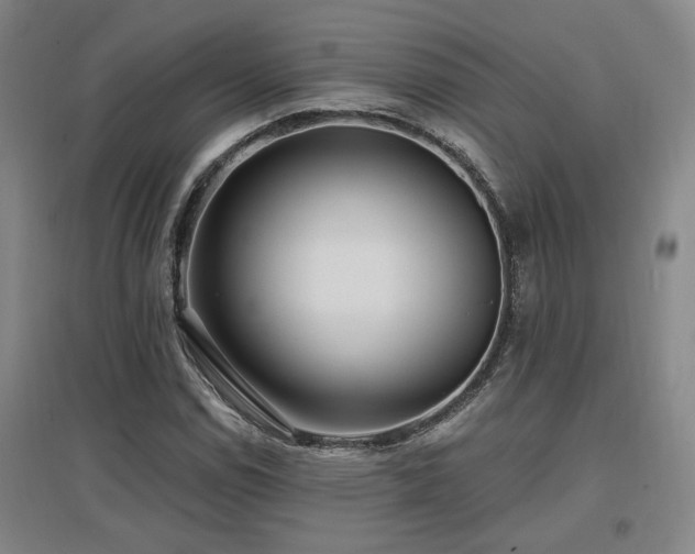 X0000097611114200802291255