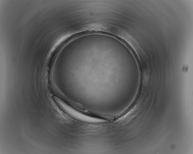X0000097611115200802291255
