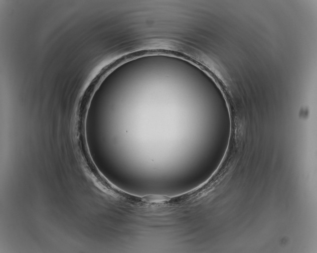 X0000097611116200802291255