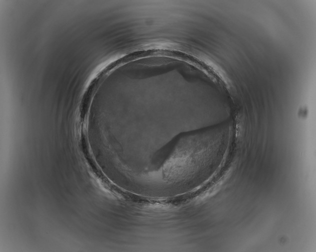 X0000097611117200802291255