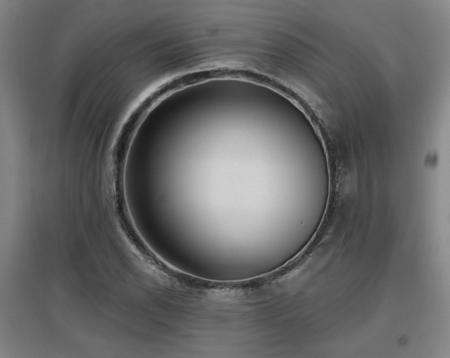 X0000097611118200802291255