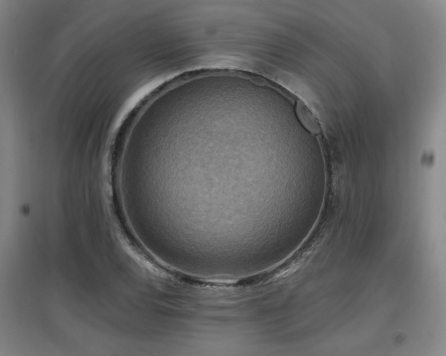 X0000097611120200802291255