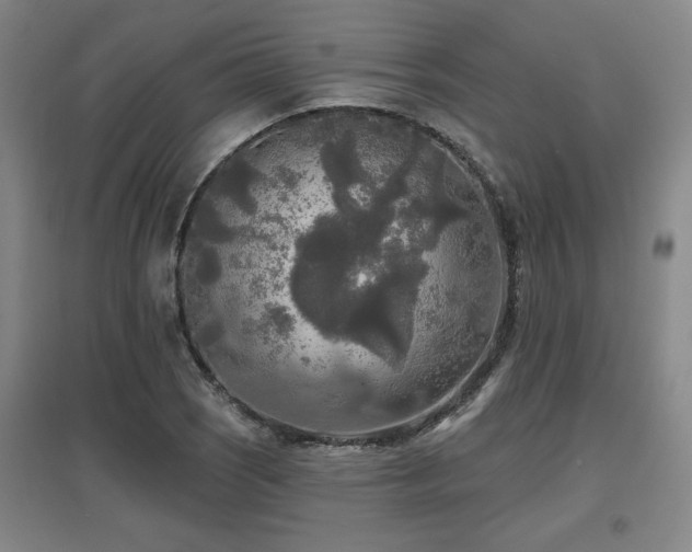 X0000097611121200802291255