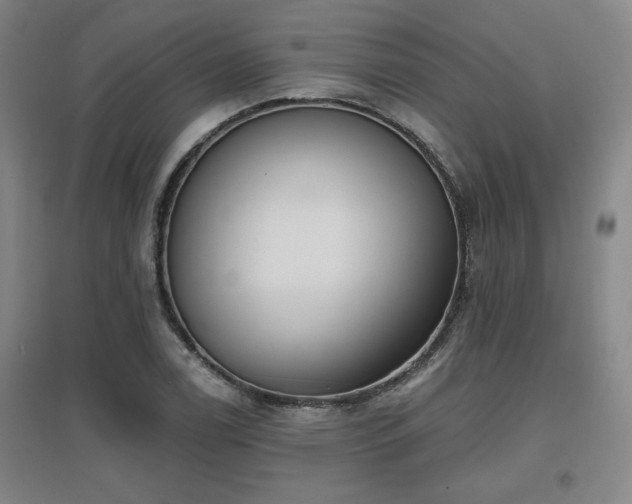 X0000097611122200802291255
