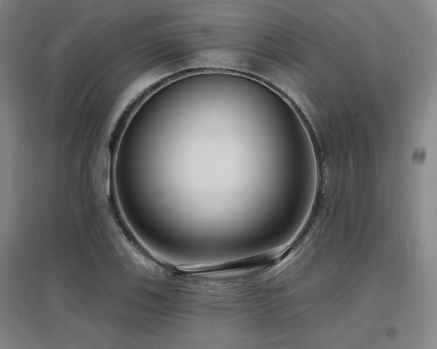 X0000097611123200802291255