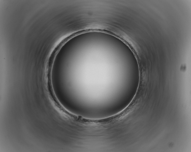 X0000097611124200802291255