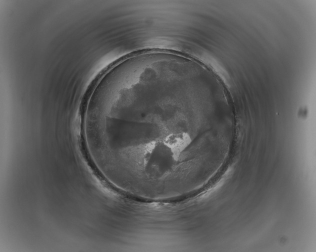 X0000097611125200802291256