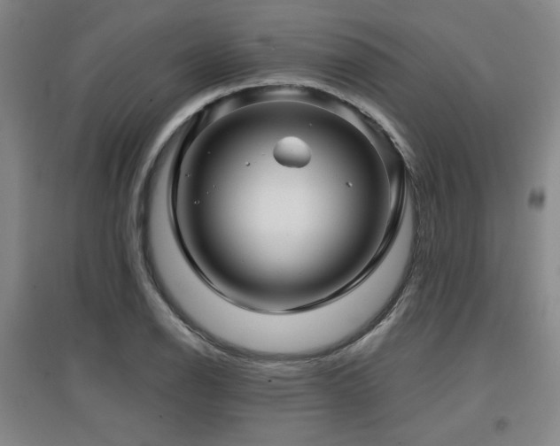 X0000097611126200802291256
