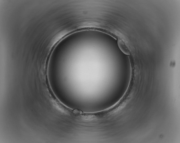 X0000097611129200802291256