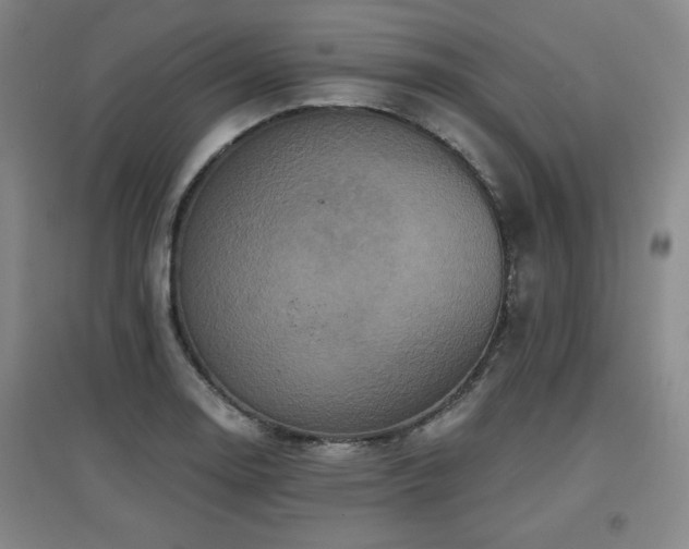 X0000097611130200802291256