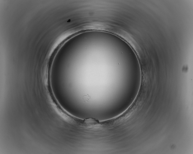 X0000097611131200802291256