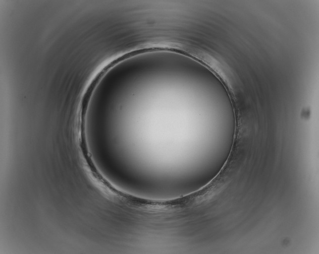 X0000097611132200802291256