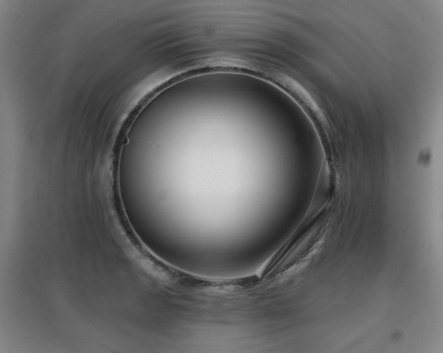 X0000097611133200802291256