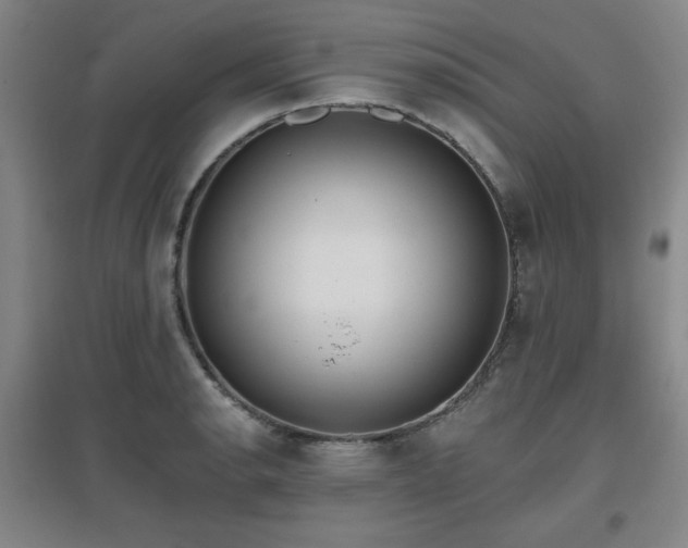 X0000097611134200802291256
