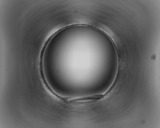 X0000097611135200802291256