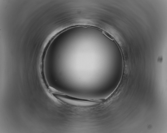X0000097611136200802291256