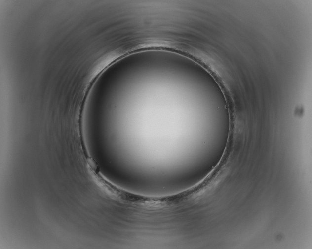 X0000097611137200802291256