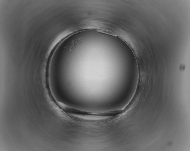 X0000097611138200802291256