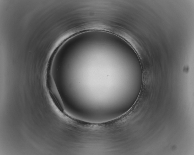 X0000097611139200802291256