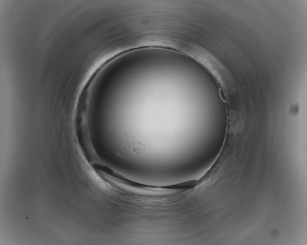 X0000097611140200802291256