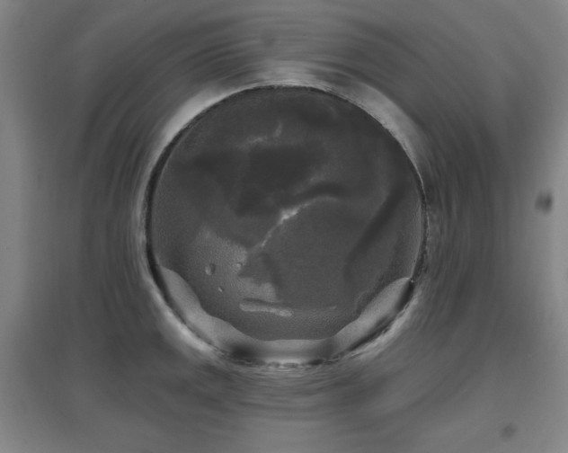 X0000097611141200802291256
