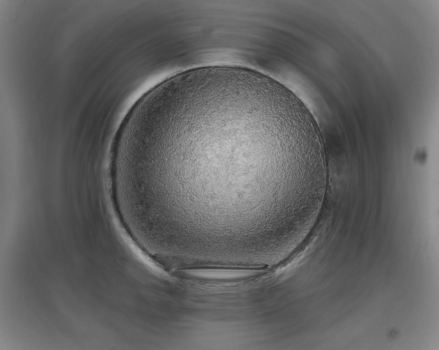 X0000097611142200802291256