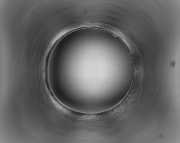 X0000097611143200802291256
