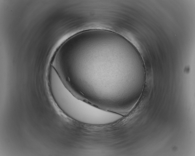 X0000097611144200802291256