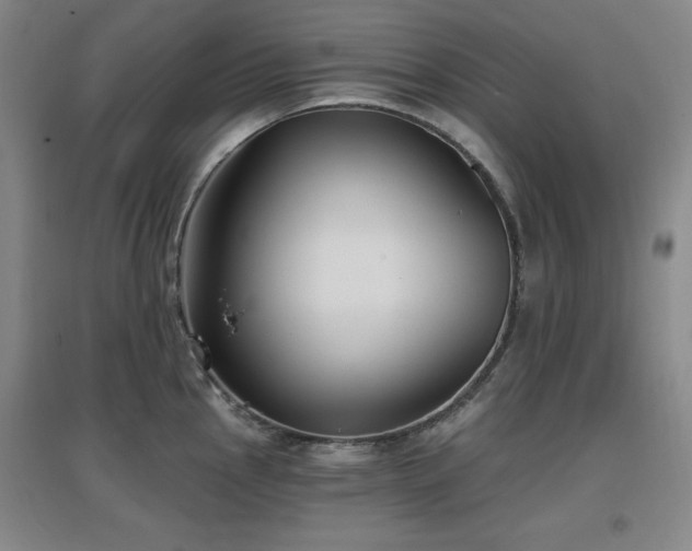 X0000097611145200802291256