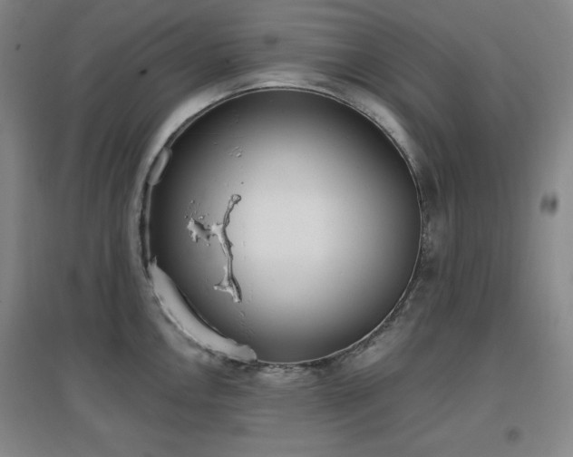 X0000097611146200802291256