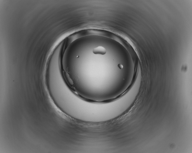 X0000097611147200802291256